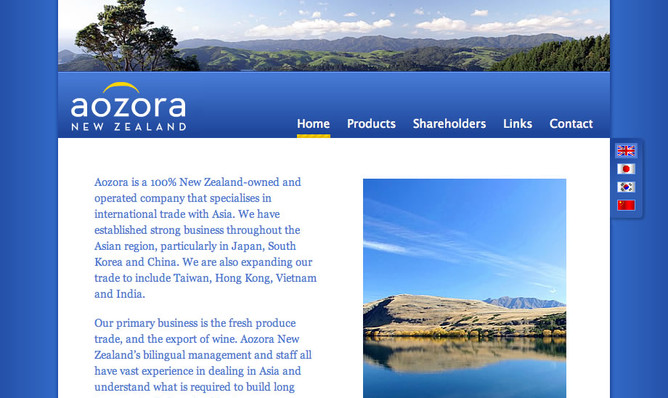 Website image