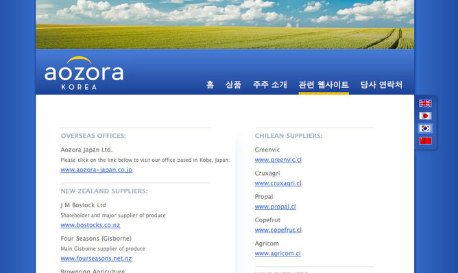 Website image