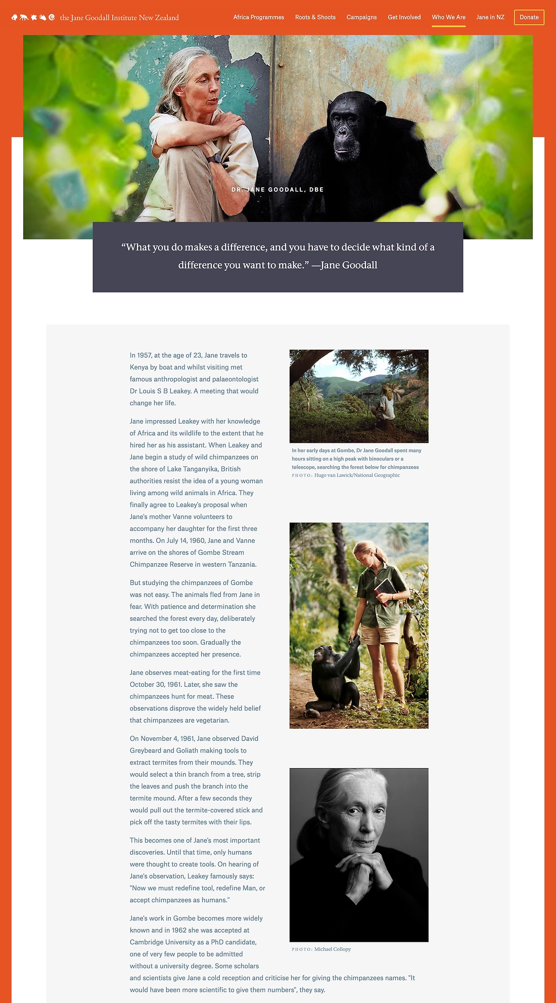 Detail image for Jane Goodall Institute