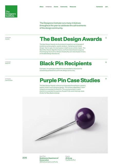 Image for Designers Institute